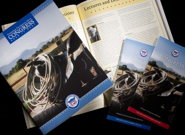 Quarter Horse Congress Photography