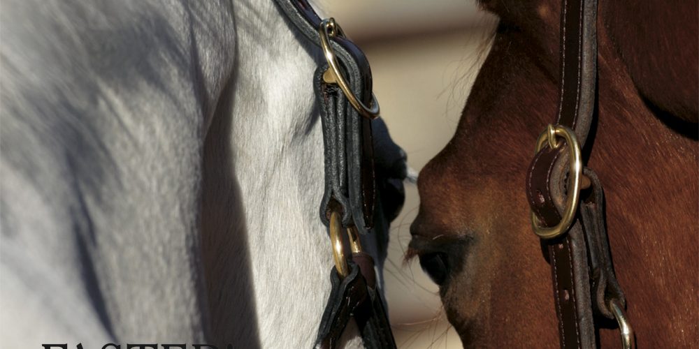 Commercial Photography